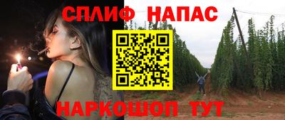 прущие грибы Среднеуральск