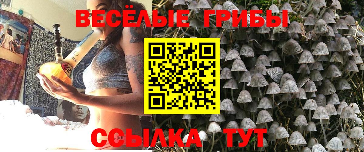 Саратов  Псилоцибиновые грибы мицелий  Вход с VPN 